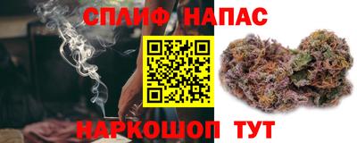 a pvp Братск