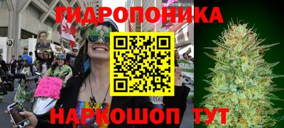 a pvp Братск